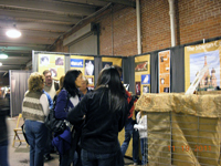 The CFA Intertional Cat Show